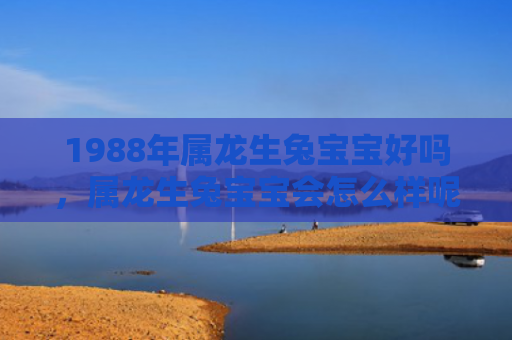 1988年属龙生兔宝宝好吗，属龙生兔宝宝会怎么样呢，属龙生兔宝宝的特点