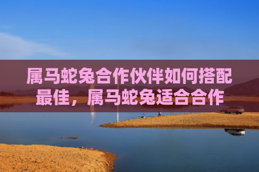 属马蛇兔合作伙伴如何搭配最佳，属马蛇兔适合合作