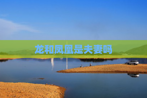 龙和凤凰是夫妻吗