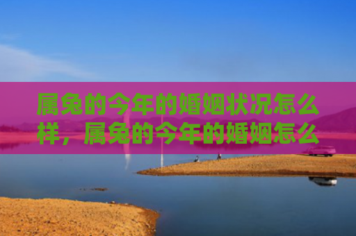 属兔的今年的婚姻状况怎么样，属兔的今年的婚姻怎么样，属兔人的婚姻运如何