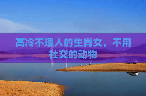 高冷不理人的生肖女，不用社交的动物