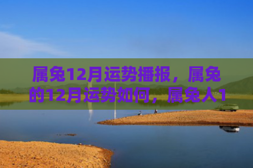 属兔12月运势播报，属兔的12月运势如何，属兔人12月运势分析