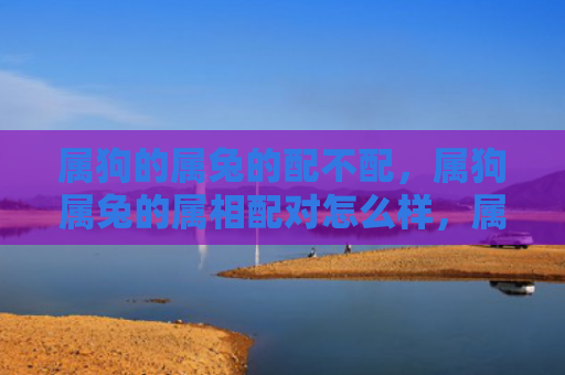 属狗的属兔的配不配，属狗属兔的属相配对怎么样，属狗属兔的配对结果分析
