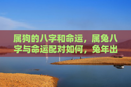 属狗的八字和命运，属兔八字与命运配对如何，兔年出生的人与何种命运相拥而行