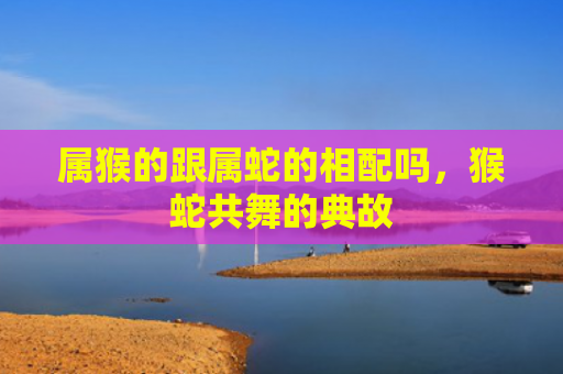 属猴的跟属蛇的相配吗，猴蛇共舞的典故