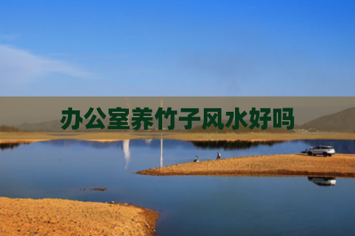 办公室养竹子风水好吗