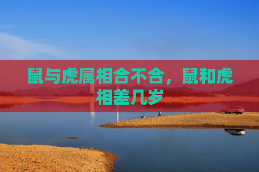 鼠与虎属相合不合，鼠和虎相差几岁