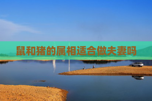 鼠和猪的属相适合做夫妻吗