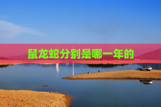 鼠龙蛇分别是哪一年的