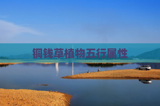 铜钱草植物五行属性