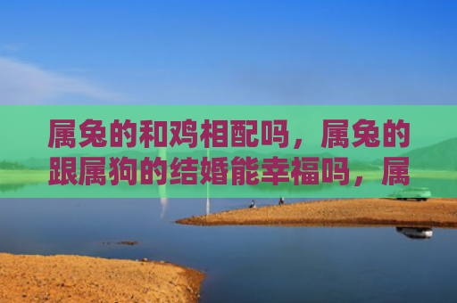 属兔的和鸡相配吗，属兔的跟属狗的结婚能幸福吗，属兔的和属狗的婚姻是否适合