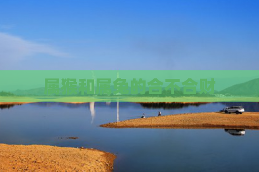 属猴和属兔的合不合财
