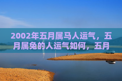 2002年五月属马人运气，五月属兔的人运气如何，五月属兔的人的运势展示