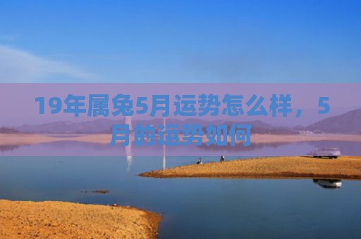 19年属兔5月运势怎么样，5月的运势如何