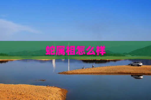 蛇属相怎么样
