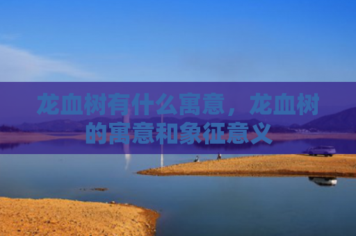 龙血树有什么寓意，龙血树的寓意和象征意义