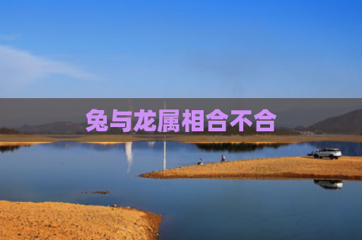 兔与龙属相合不合