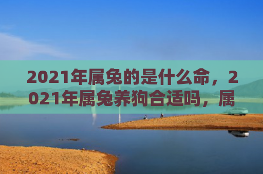 2021年属兔的是什么命，2021年属兔养狗合适吗，属兔人养狗有什么需要注意的