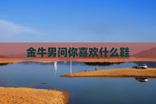 金牛男问你喜欢什么鞋