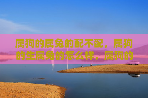 属狗的属兔的配不配，属狗的生属兔的怎么样，属狗的与属兔的姻缘如何
