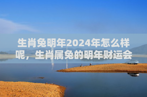 生肖兔明年2024年怎么样呢，生肖属兔的明年财运会是怎样的呢，生肖属兔的明年财运值得期待