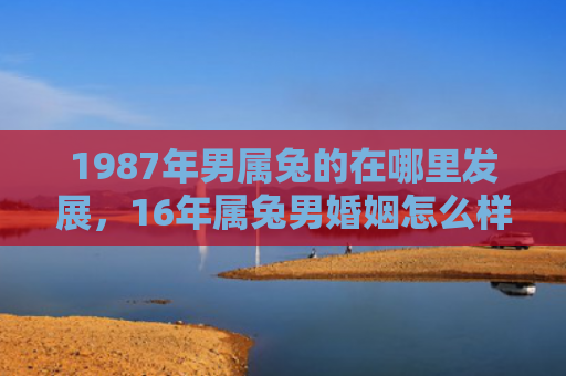 1987年男属兔的在哪里发展，16年属兔男婚姻怎么样，属兔男结婚后的幸福生活