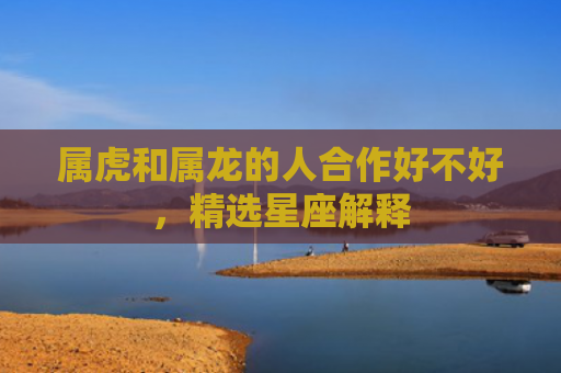 属虎和属龙的人合作好不好，精选星座解释