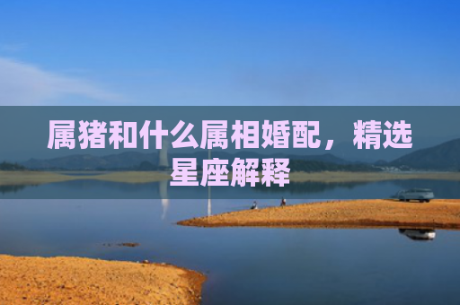 属猪和什么属相婚配，精选星座解释