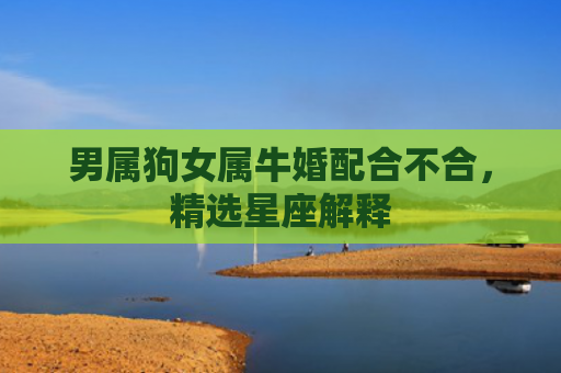 男属狗女属牛婚配合不合，精选星座解释