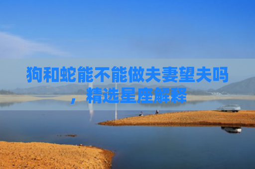 狗和蛇能不能做夫妻望夫吗，精选星座解释