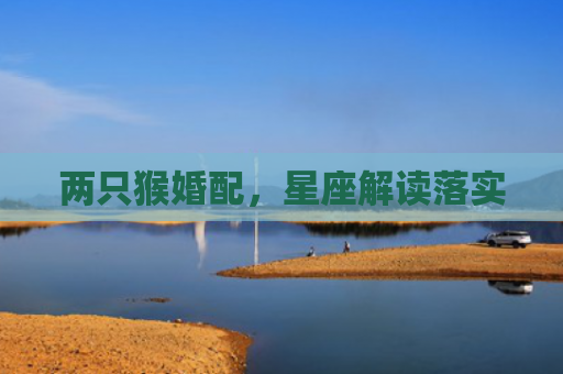 两只猴婚配，星座解读落实