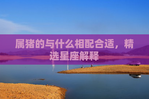 属猪的与什么相配合适，精选星座解释