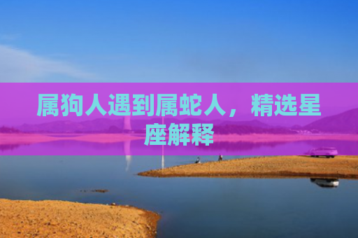 属狗人遇到属蛇人，精选星座解释
