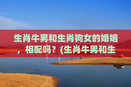 生肖牛男和生肖狗女的婚姻，相配吗？(生肖牛男和生肖狗女配吗)