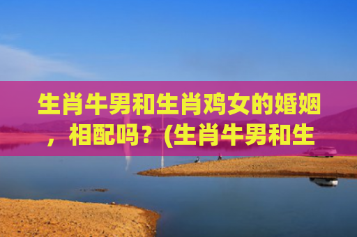 生肖牛男和生肖鸡女的婚姻，相配吗？(生肖牛男和生肖鸡女的婚姻怎样)