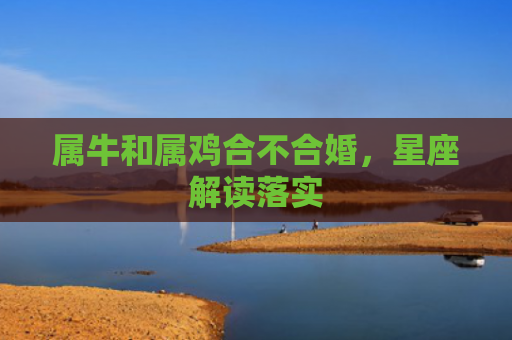 属牛和属鸡合不合婚，星座解读落实