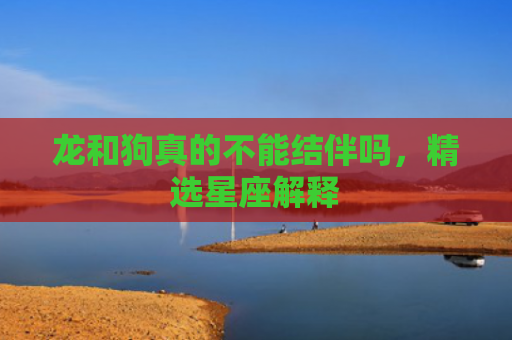 龙和狗真的不能结伴吗，精选星座解释