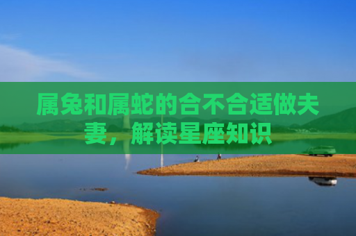 属兔和属蛇的合不合适做夫妻，解读星座知识