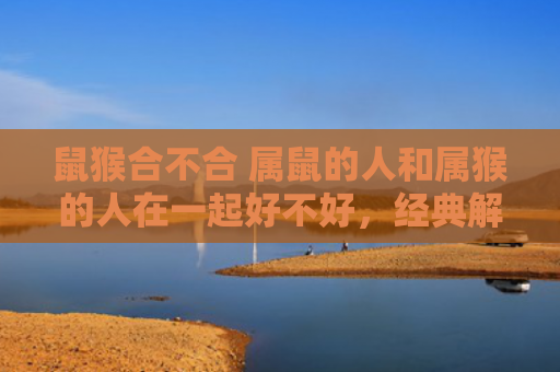 鼠猴合不合 属鼠的人和属猴的人在一起好不好，经典解答星座知识