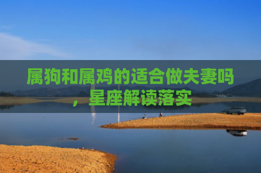 属狗和属鸡的适合做夫妻吗，星座解读落实