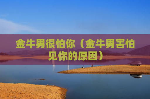 金牛男很怕你（金牛男害怕见你的原因）