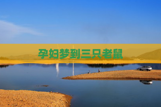 孕妇梦到三只老鼠