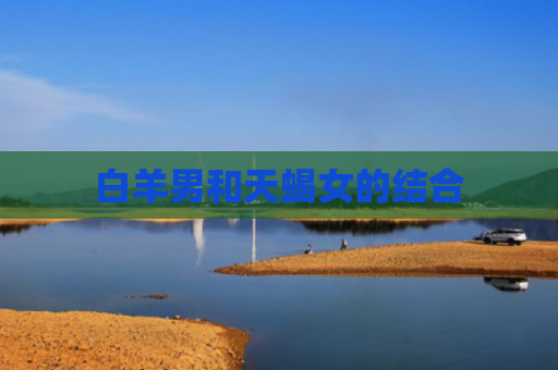 白羊男和天蝎女的结合