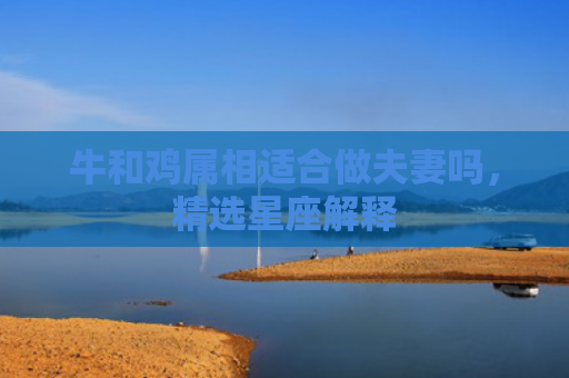牛和鸡属相适合做夫妻吗，精选星座解释