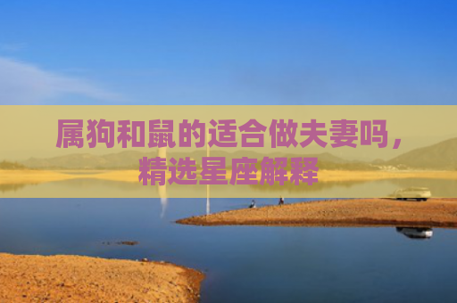 属狗和鼠的适合做夫妻吗，精选星座解释