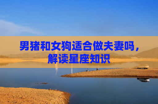 男猪和女狗适合做夫妻吗，解读星座知识
