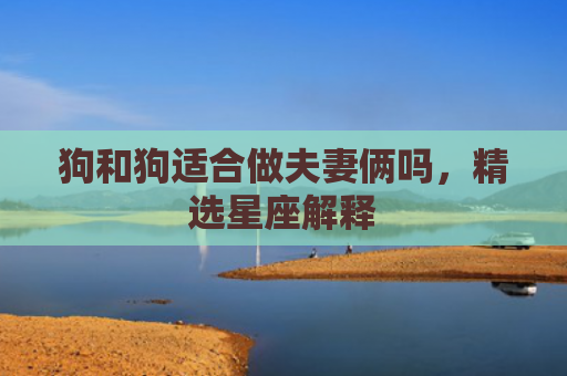 狗和狗适合做夫妻俩吗，精选星座解释