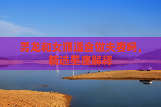 男龙和女猴适合做夫妻吗，精选星座解释
