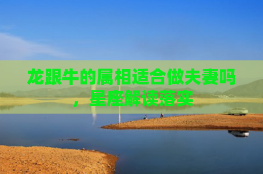 龙跟牛的属相适合做夫妻吗，星座解读落实