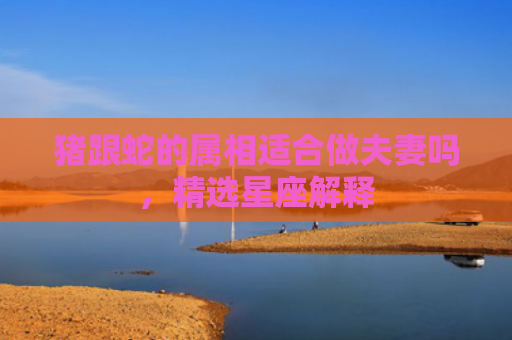 猪跟蛇的属相适合做夫妻吗，精选星座解释